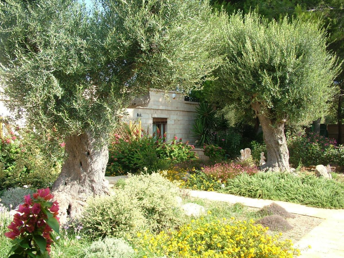 Villa Urania ตอร์เร ซาน จิโอวานนิ อูเจนโต ภายนอก รูปภาพ